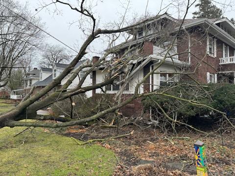 Emergency Tree Services in Tonawanda