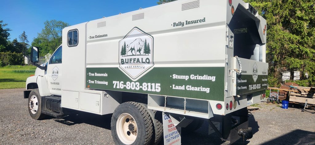 Best East Amherst Tree Care Company