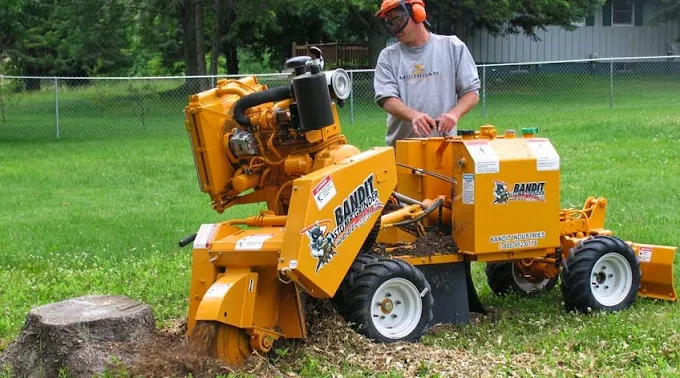 How Much Do People Charge To Remove Stumps In Buffalo