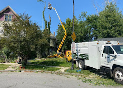 tree service near Buffalo AKG Art Museum