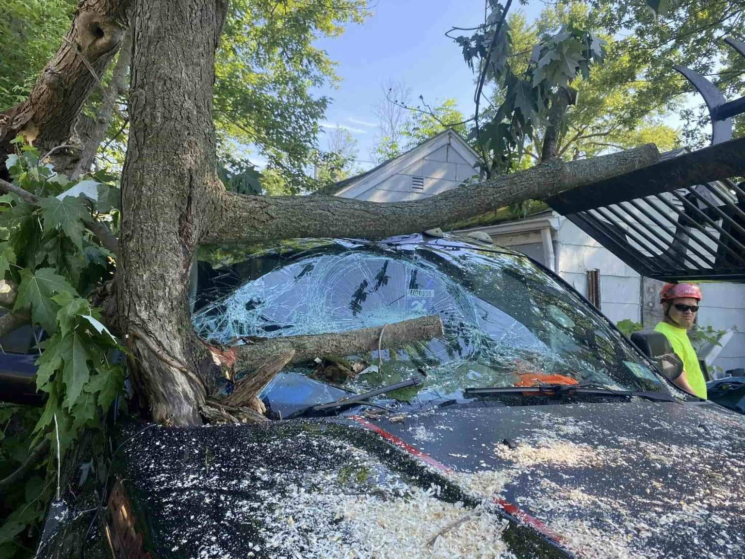Tree Service Near Kaisertown, NY