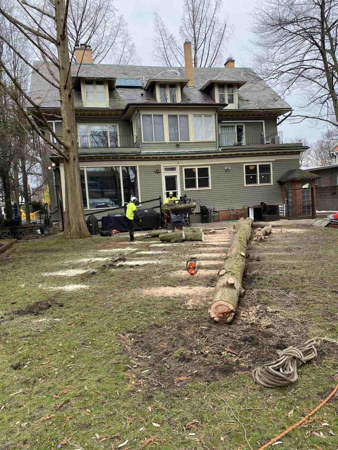 Tree Service Near Riverside, Buffalo, NY